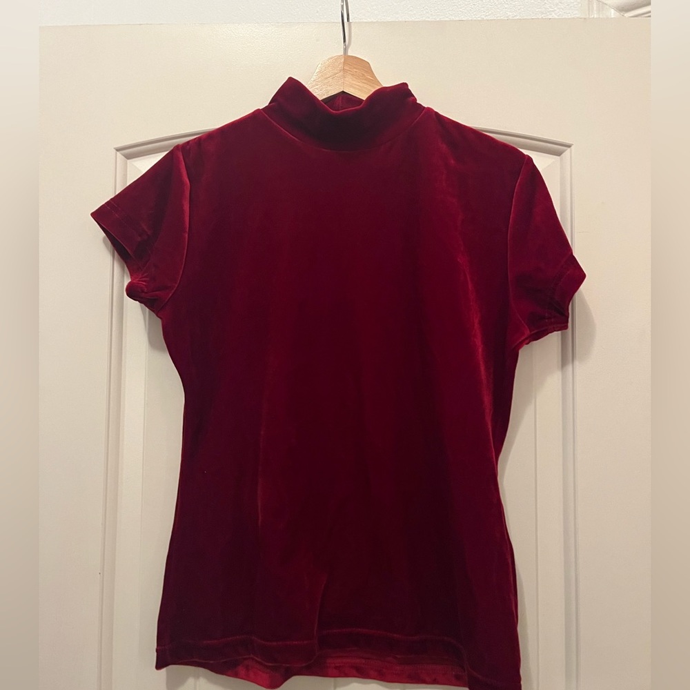 Carolyn Taylor velvet mock neck